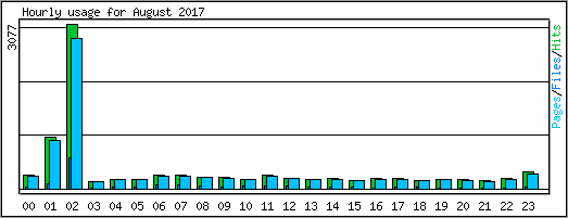 Hourly usage