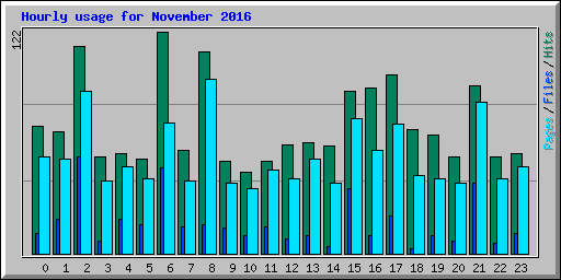 Hourly usage for November 2016